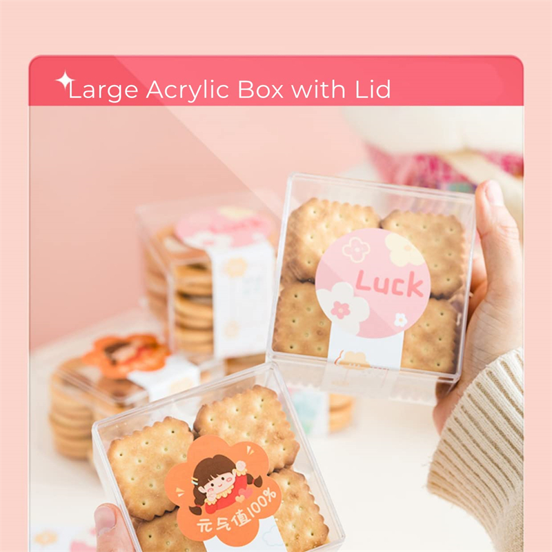 Cajas acrílicas transparentes  - Xmas Food Storage Containers reseña y precio