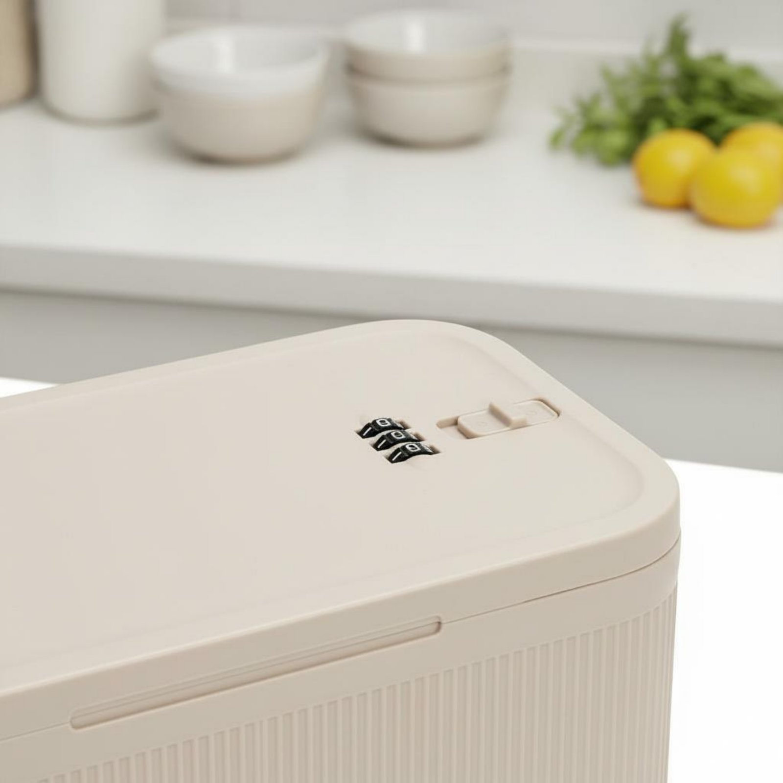 Caja de Seguridad con Candado, - Food Storage With Lock reseña y precio