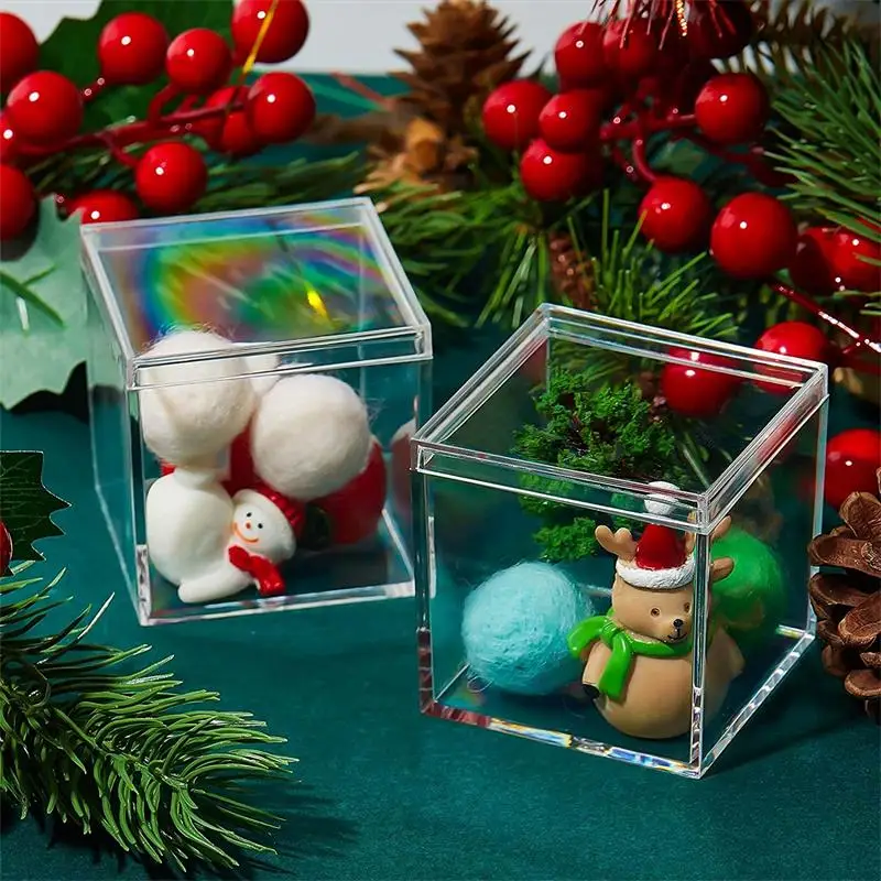Cajas acrílicas transparentes  - Xmas Food Storage Containers reseña y precio