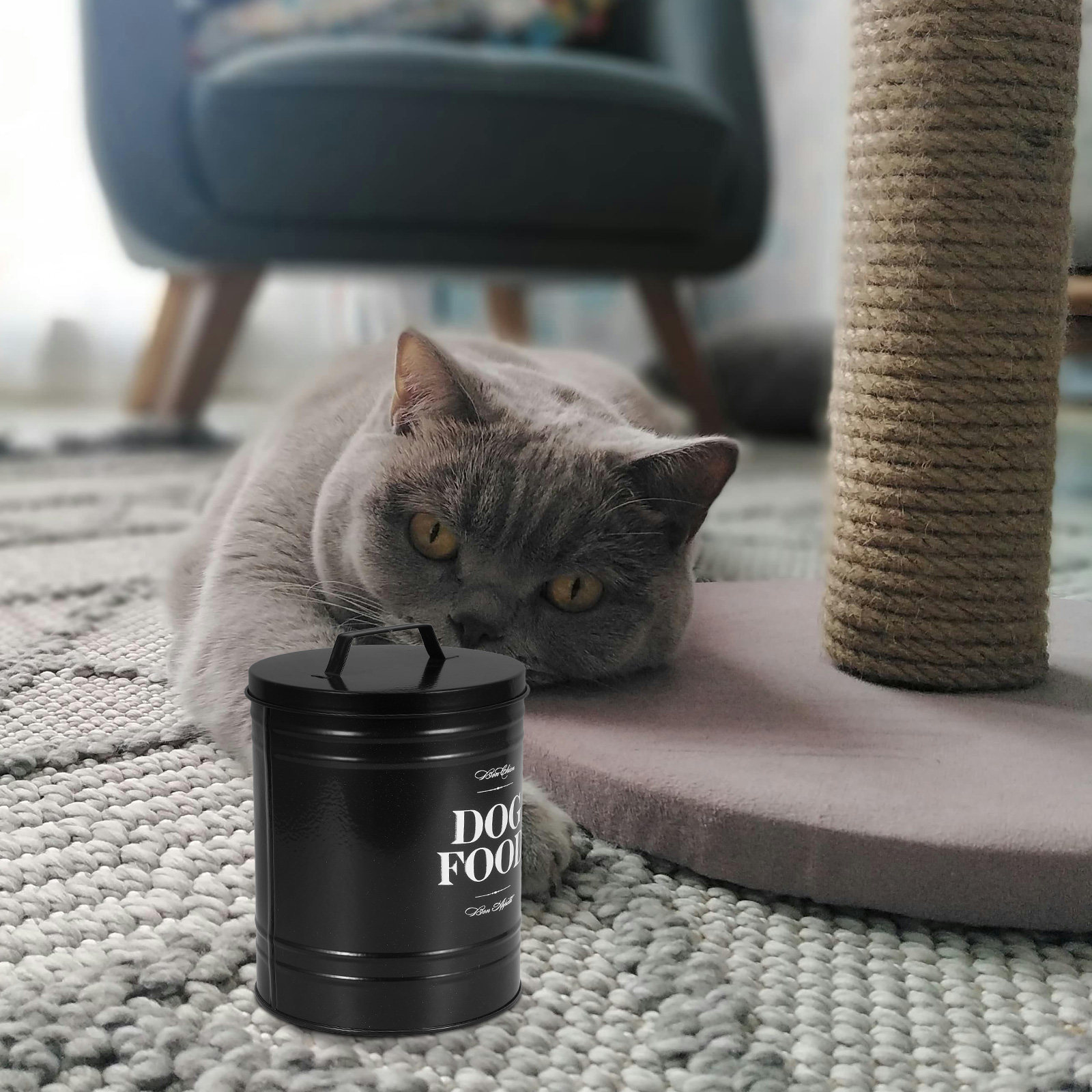 Contenedor de Alimentos para M - Food Storage Jars Airtight reseña y precio