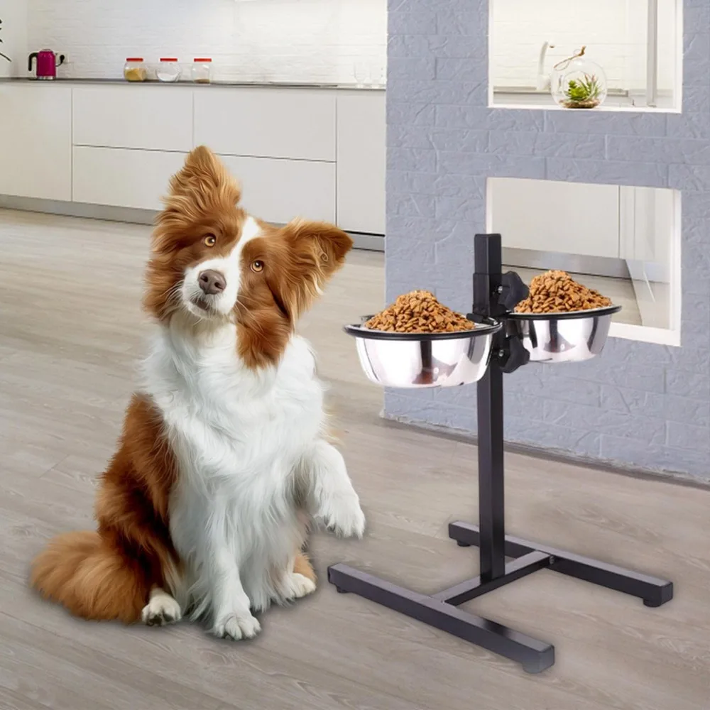 Tazón de Agua para Mascotas de - Storage Tips For Food reseña y precio