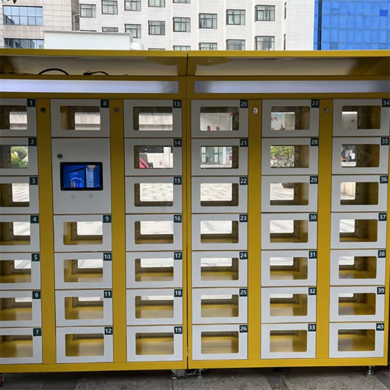 Cerradura Electrónica Personal - Food Storage With Lock reseña y precio